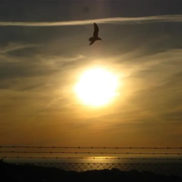 parque-de-campismo-orbitur-guincho-cascais-h2x5h