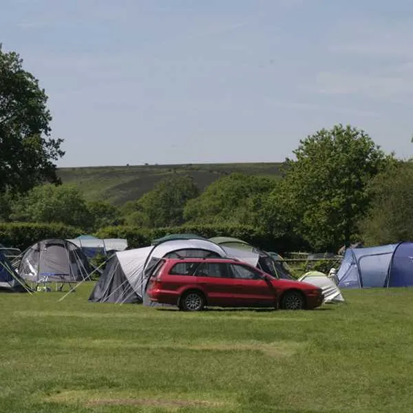 red-shoot-camping-park-ringwood-cntco