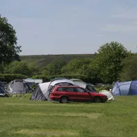 red-shoot-camping-park-ringwood-cntco