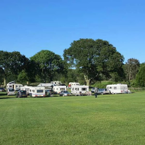 red-shoot-camping-park-ringwood-mljaa