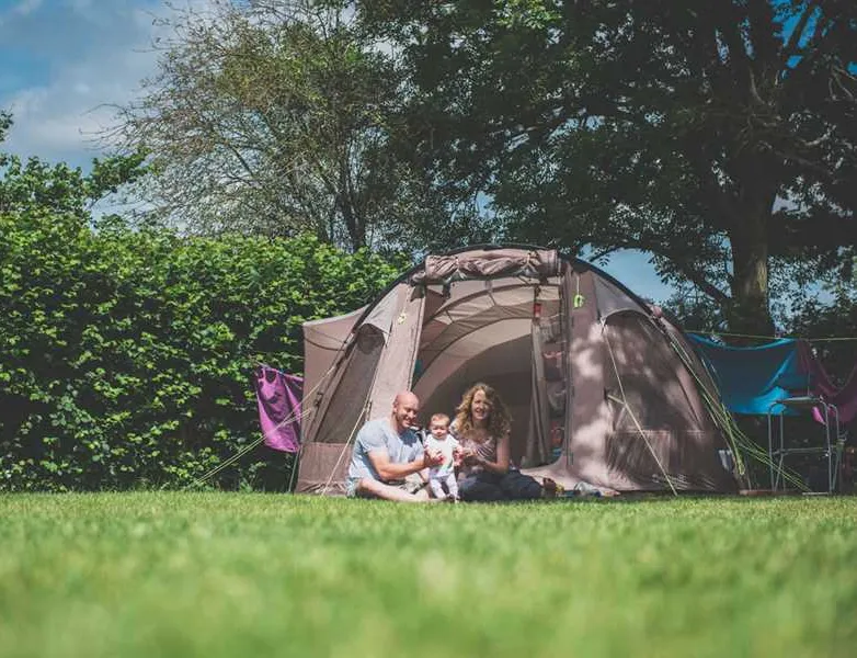 red-shoot-camping-park-ringwood-opbxh
