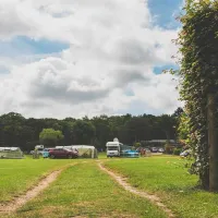 red-shoot-camping-park-ringwood-vbsyj