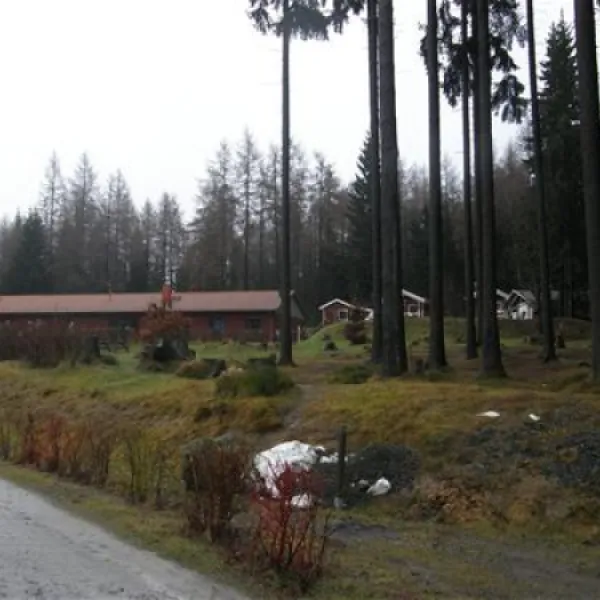 camping-am-schierker-stern-elend-vwsfy