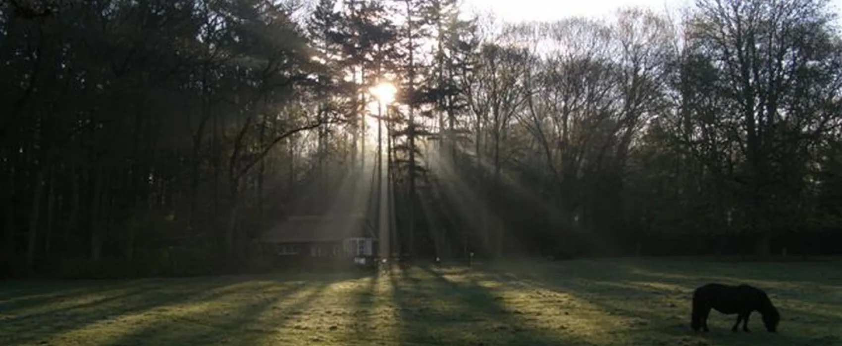 Camping Livonia