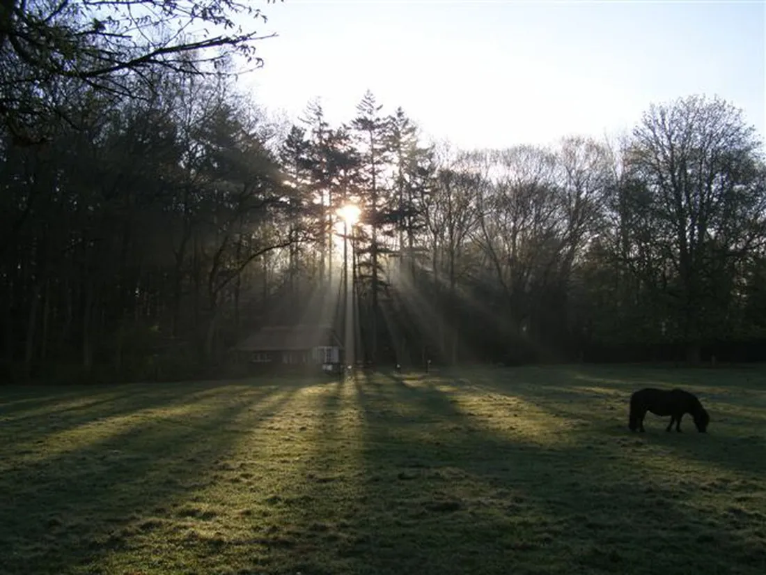 camping-livonia-epe-4y7zj