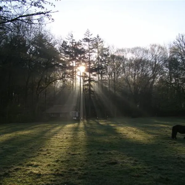 camping-livonia-epe-4y7zj