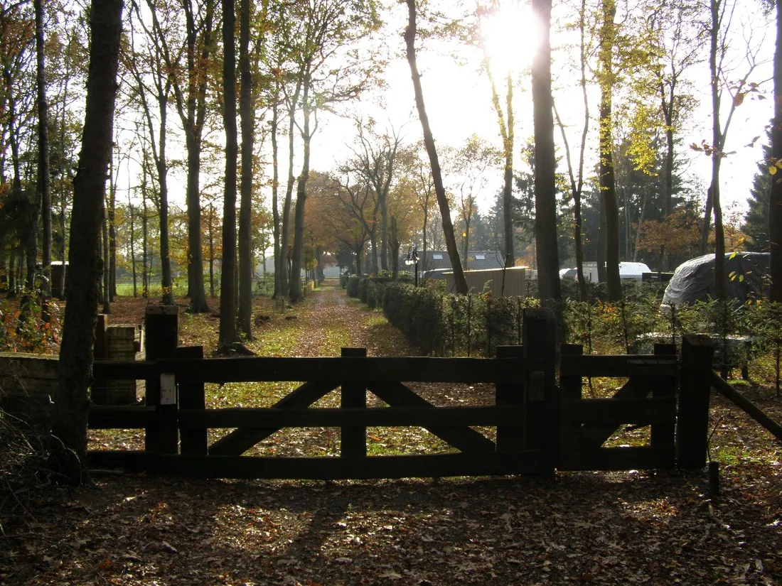 camping-livonia-epe-brwpi