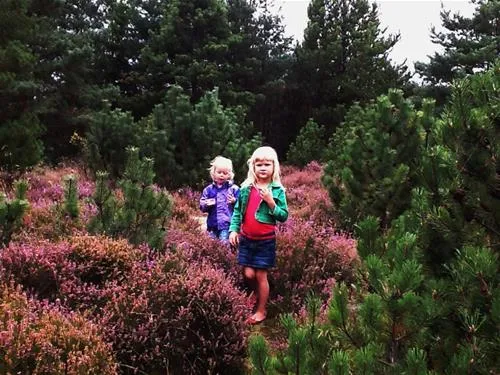lakolk-strand-camping-rm-infte