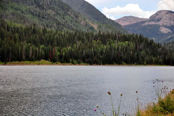 smith-morehouse-campground-kamas-ntayz