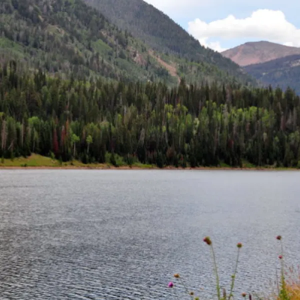 Smith-Morehouse Campground