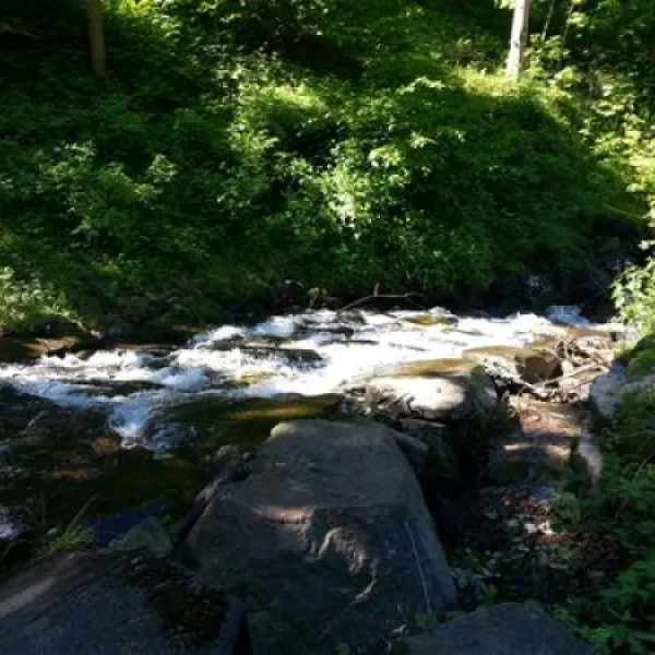 campingplatzlonau-herzberglonau-bkwlm