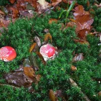 campingplatzlonau-herzberglonau-ky0b4