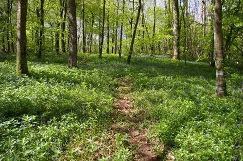 whitehill-country-park-paignton-mfrh0