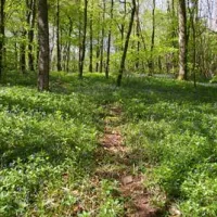 whitehill-country-park-paignton-mfrh0