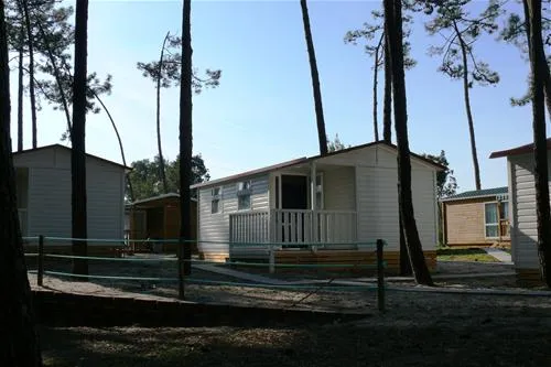 parque-de-campismo-orbitur-so-jacinto-s-jacinto-aveiro-96ikl