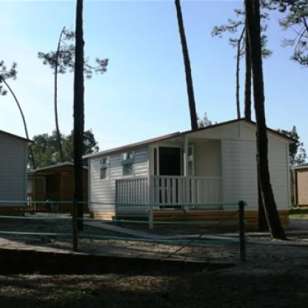 parque-de-campismo-orbitur-so-jacinto-s-jacinto-aveiro-96ikl