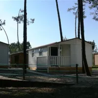 parque-de-campismo-orbitur-so-jacinto-s-jacinto-aveiro-96ikl