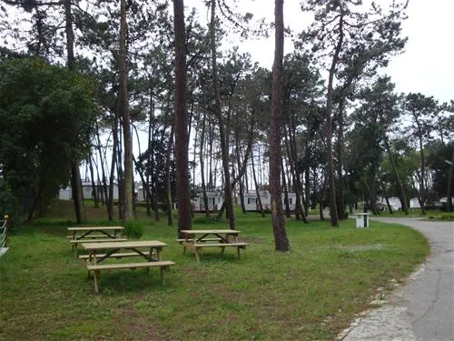 parque-de-campismo-orbitur-so-jacinto-s-jacinto-aveiro-gcbis