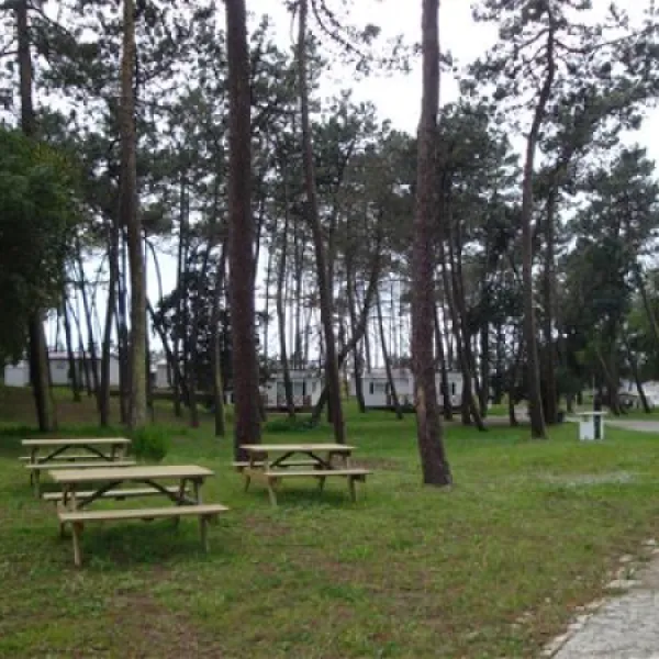 parque-de-campismo-orbitur-so-jacinto-s-jacinto-aveiro-gcbis