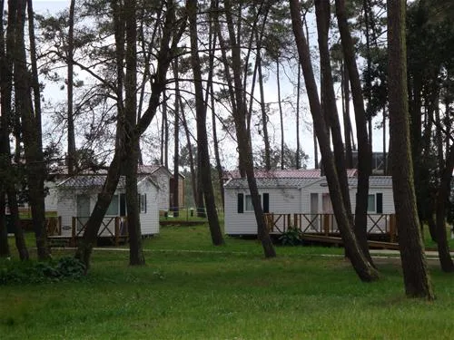 parque-de-campismo-orbitur-so-jacinto-s-jacinto-aveiro-zgxld