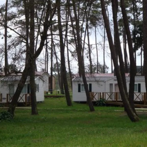 parque-de-campismo-orbitur-so-jacinto-s-jacinto-aveiro-zgxld