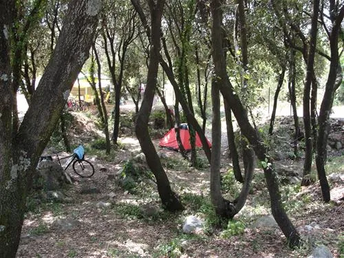 camping-solitudo-dubrovnik-5syzm