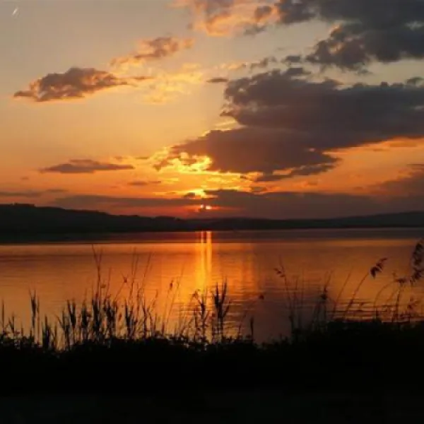 tcs-camping-sempach-sempach-gvyey