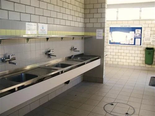 tcs-camping-sempach-sempach-hay63