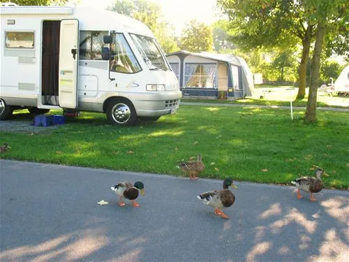 tcs-camping-sempach-sempach-lfobr