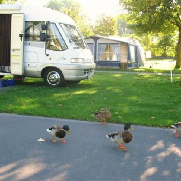tcs-camping-sempach-sempach-lfobr