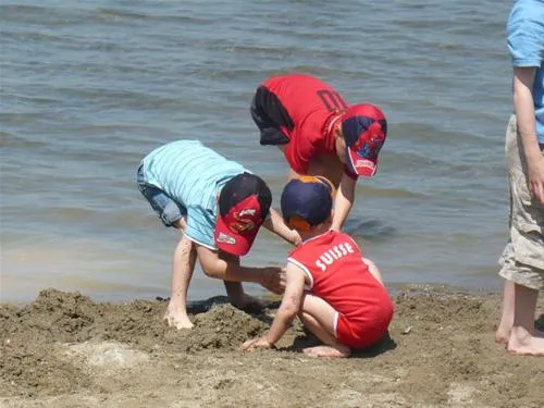tcs-camping-sempach-sempach-xewi5