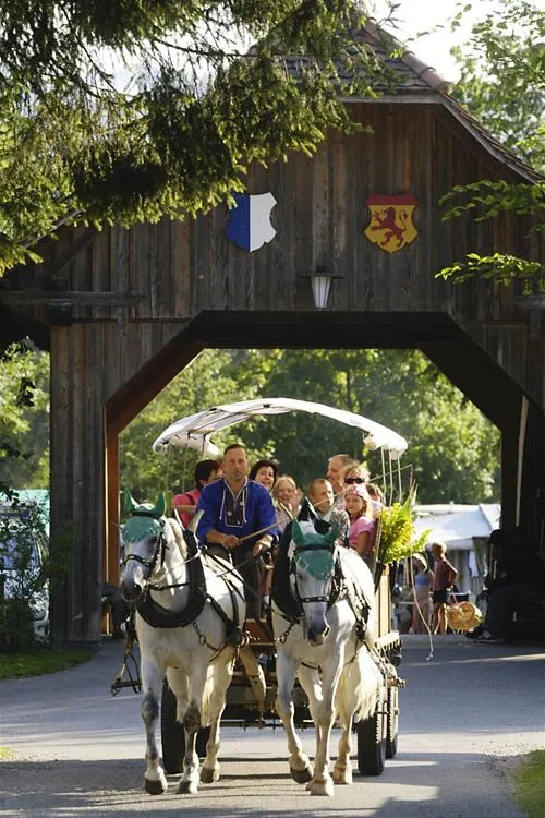tcs-camping-sempach-sempach-zl40p