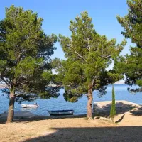 Camp Michael