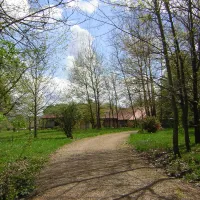 camping-la-ferme-des-maziers-varennes-saint-sauveur-vm48t
