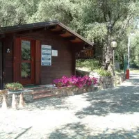 camping-il-persiano-san-lorenzo-al-mare-fi94x