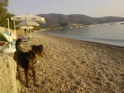 campsite-nicolas-i-ancient-epidavros-6juzx