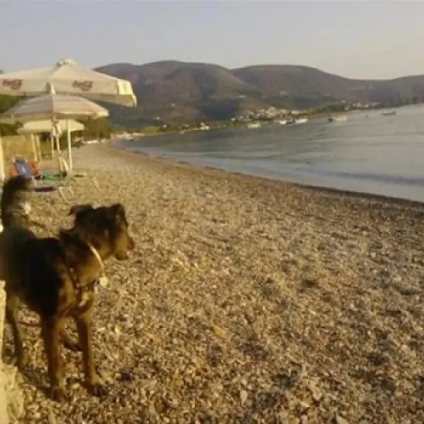campsite-nicolas-i-ancient-epidavros-6juzx