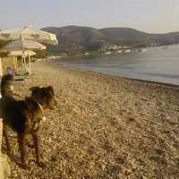 campsite-nicolas-i-ancient-epidavros-6juzx