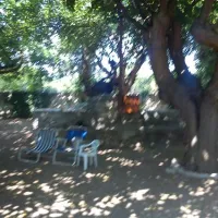 campsite-nicolas-i-ancient-epidavros-9xni9