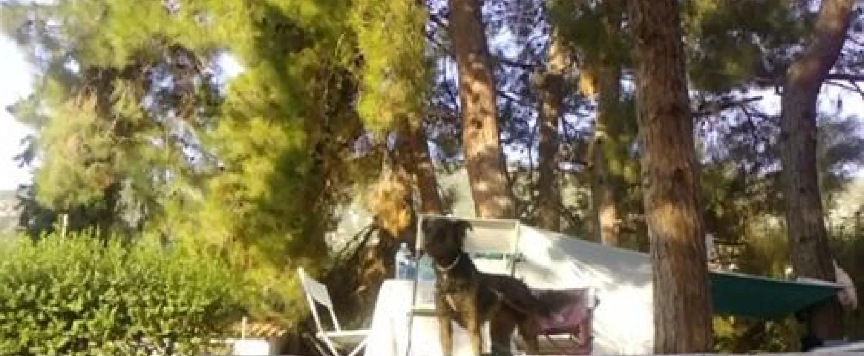 Campsite Nicolas I
