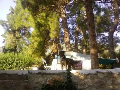 campsite-nicolas-i-ancient-epidavros-gfunh