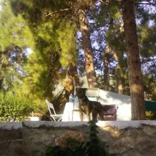 campsite-nicolas-i-ancient-epidavros-gfunh