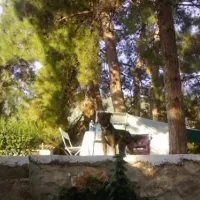 campsite-nicolas-i-ancient-epidavros-gfunh