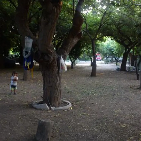 campsite-nicolas-i-ancient-epidavros-pvmef