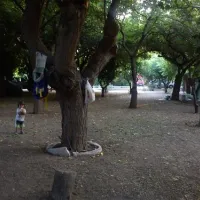campsite-nicolas-i-ancient-epidavros-pvmef