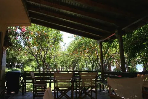 campsite-nicolas-i-ancient-epidavros-q3j2k