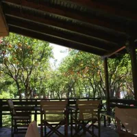 campsite-nicolas-i-ancient-epidavros-q3j2k