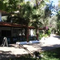 campsite-nicolas-i-ancient-epidavros-sira7
