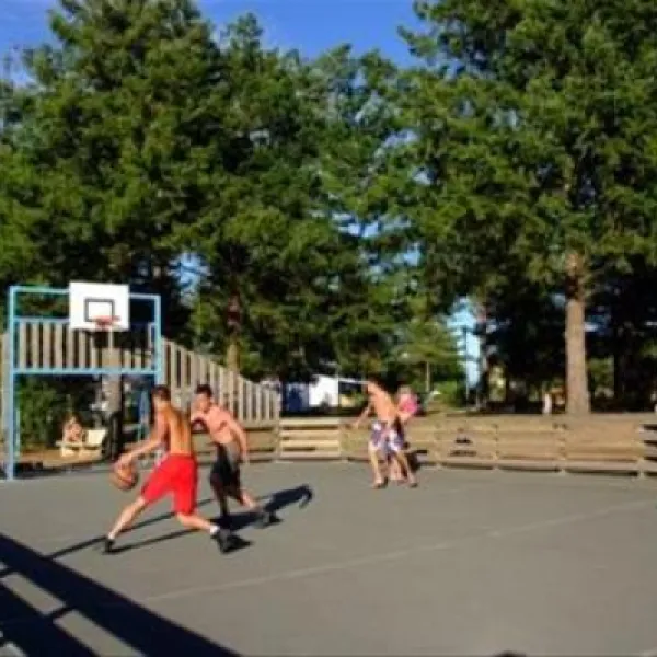 camping-les-brunelles-longeville-sur-mer-digch