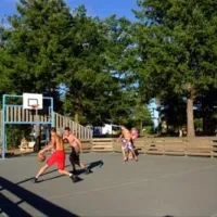 camping-les-brunelles-longeville-sur-mer-digch